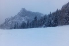 IMG_20160121_143424