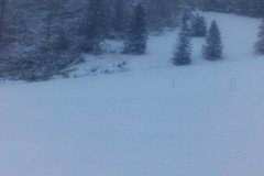 IMG_20160121_144129