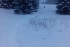 IMG_20160121_144141