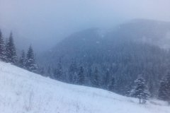 IMG_20160121_144151