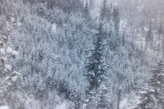 IMG_20160121_145313