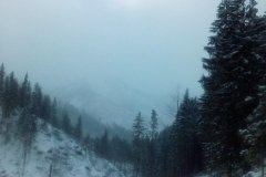 IMG_20160121_145917
