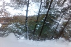 IMG_20160121_152252