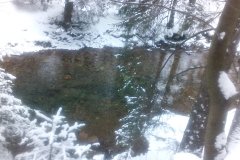 IMG_20160121_152309
