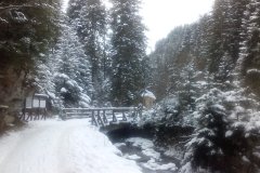 IMG_20160122_111810
