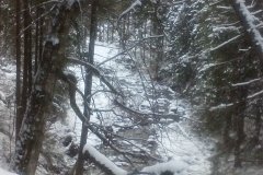 IMG_20160122_114221