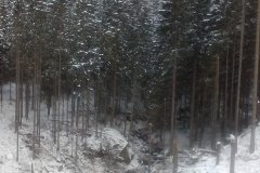 IMG_20160122_115523