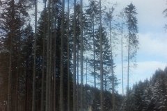 IMG_20160122_115551