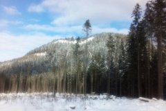 IMG_20160122_120924