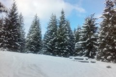 IMG_20160122_121631