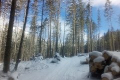 IMG_20160122_122904