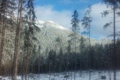 IMG_20160122_123056