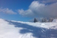IMG_20160122_130433
