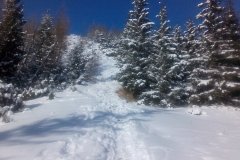 IMG_20160122_131123