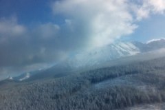 IMG_20160122_133929