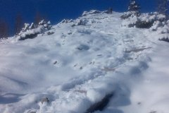 IMG_20160122_135232