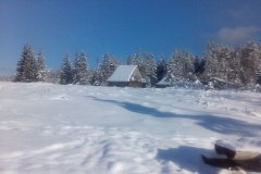 IMG_20160122_140049