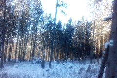 IMG_20160122_142142