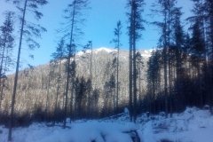 IMG_20160122_143227