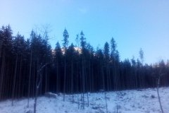 IMG_20160122_151204