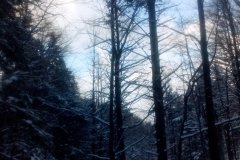 IMG_20160118_145756