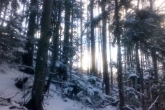 IMG_20160118_145811