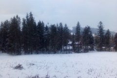 IMG_20160118_154125
