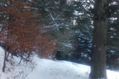 IMG_20160118_154150
