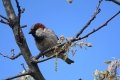 DSC00164