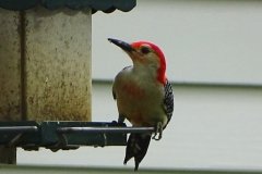 DSC00576