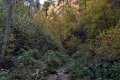 sdr