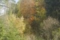 sdr