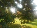 DSCN9669