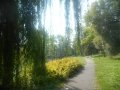 DSCN9744