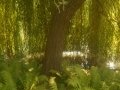 DSCN9749