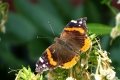 DSC00027
