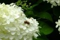 DSC05640