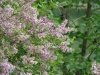 dsc00167