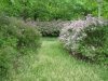 dsc00173