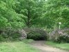dsc00177