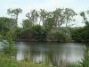 dsc00179