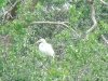 dsc00195