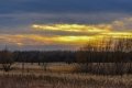 20130405-DSC_2818