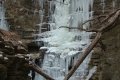 DSC05365.jpg-s