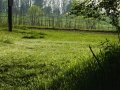 DSC05699