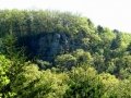 DSC05739