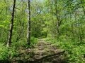 DSC05763