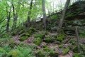 DSC09224