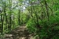 DSC09160