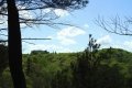 DSCN4336